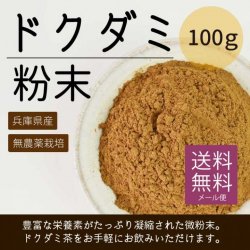 フレッシュファーム奥本の無農薬栽培の食材を販売