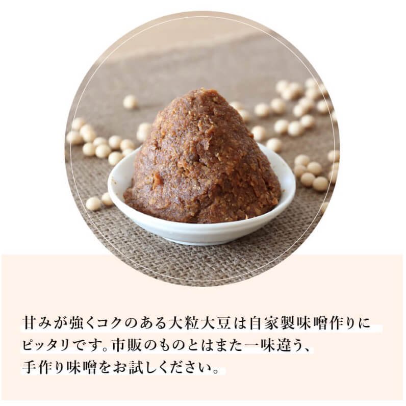 無農薬大豆「トヨマサリ」30kg -北海道平譯農園-2021年秋収穫【送料無料】