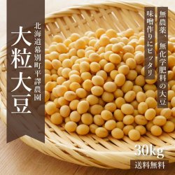 無農薬大豆「トヨマサリ」30kg -北海道平譯農園-2021年秋収穫【送料無料】