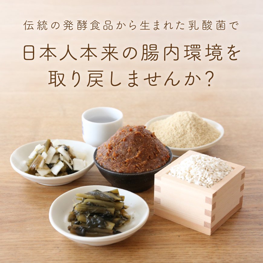 日本の発酵食品からとれた「オーガニック腸活乳酸菌パウダー」（100g）【送料無料】*メール便での発送*
