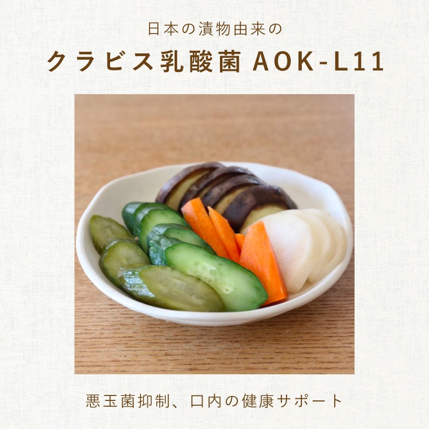 日本の発酵食品からとれた「オーガニック腸活乳酸菌パウダー」（100g ...