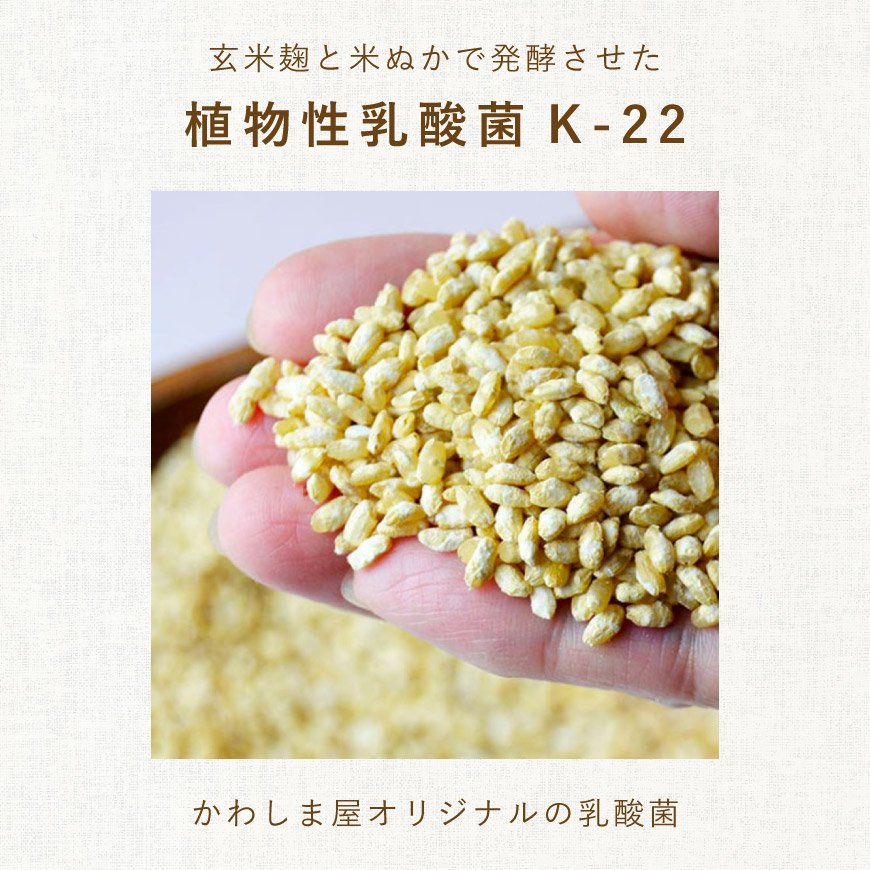 日本の発酵食品からとれた「オーガニック腸活乳酸菌パウダー」（100g