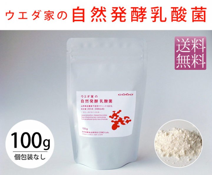 ウエダ家の自然発酵乳酸菌60g(1g x60包)【送料無料】