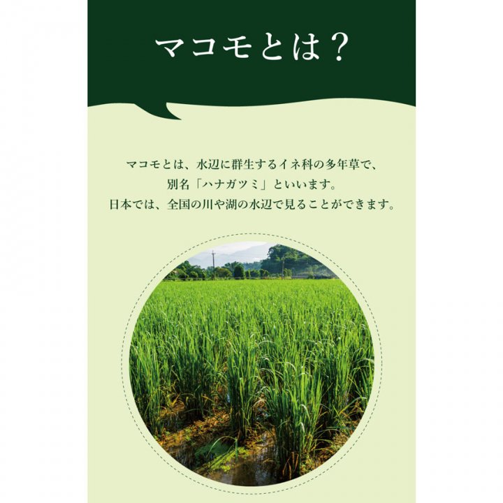 兵庫県産マコモ粉末 100g 無農薬・無化学肥料栽培まこも -かわしま屋-【送料無料】*メール便での発送*_t1