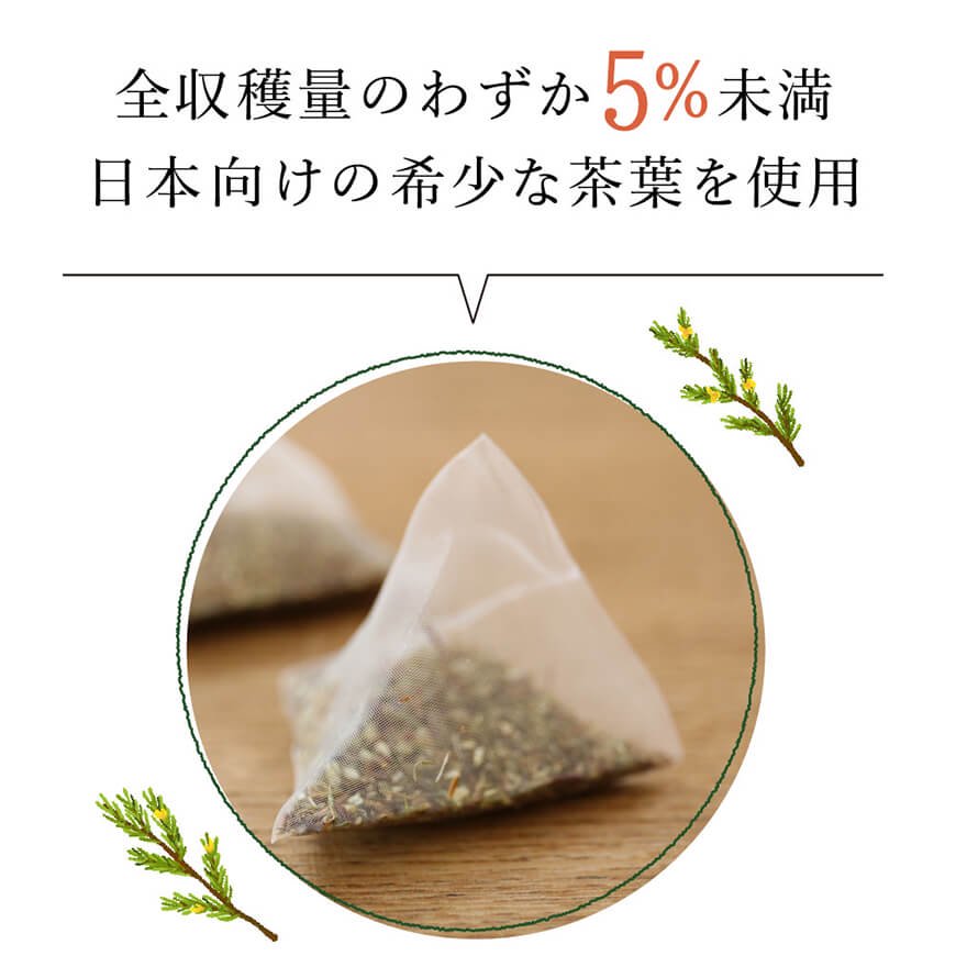 グリーンルイボスティー（非発酵タイプ） 1.8g x 30包【送料無料】高