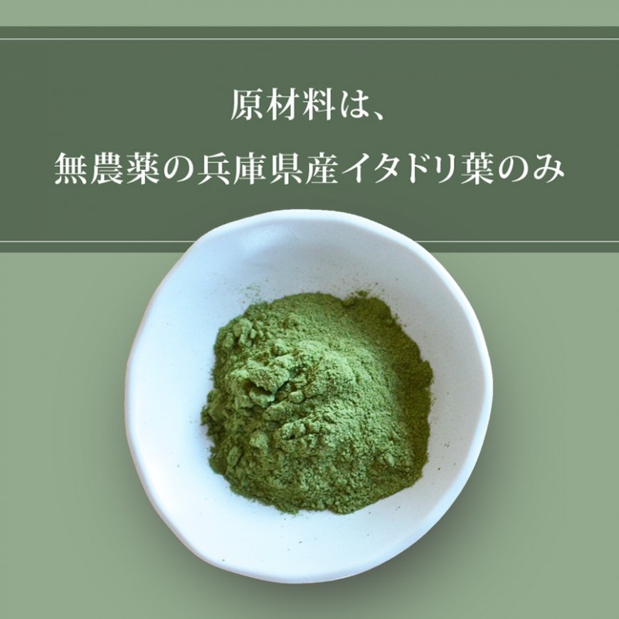 イタドリ葉粉末 100g 無農薬・無化学肥料栽培（兵庫県産）【送料無料】