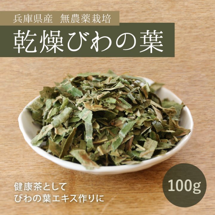 無農薬 乾燥びわの葉100g｜びわ葉茶・びわの葉エキス作りに使える乾燥