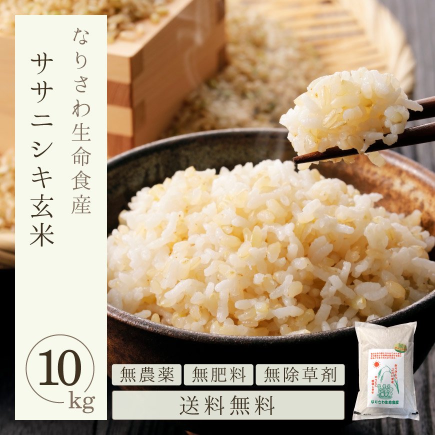 新米ササニシキ玄米10キロ農薬不使用-