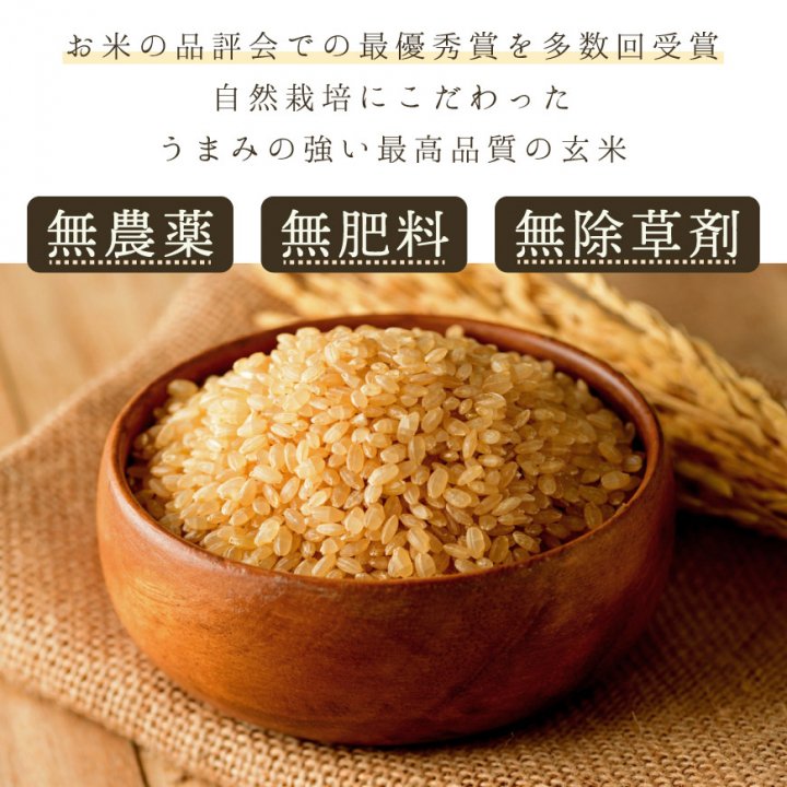 肥料不使用新米ササニシキ玄米10キロ農薬不使用 - 米
