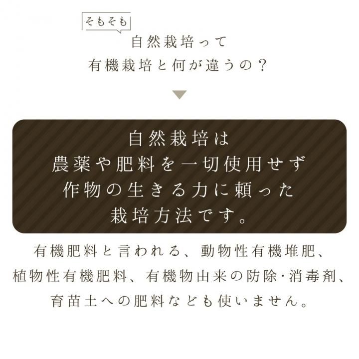 ひとめぼれ玄米10kg（なりさわ生命食産-宮城県産）無農薬・無肥料栽培