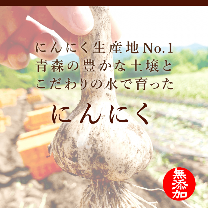 松山ハーブ農園の黒にんにく（青森県産一ヶ月熟成発酵）500gお徳用・業務用