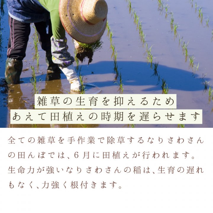 ひとめぼれ玄米30kg（なりさわ生命食産-宮城県産）無農薬・無肥料栽培【2023年度産新米】