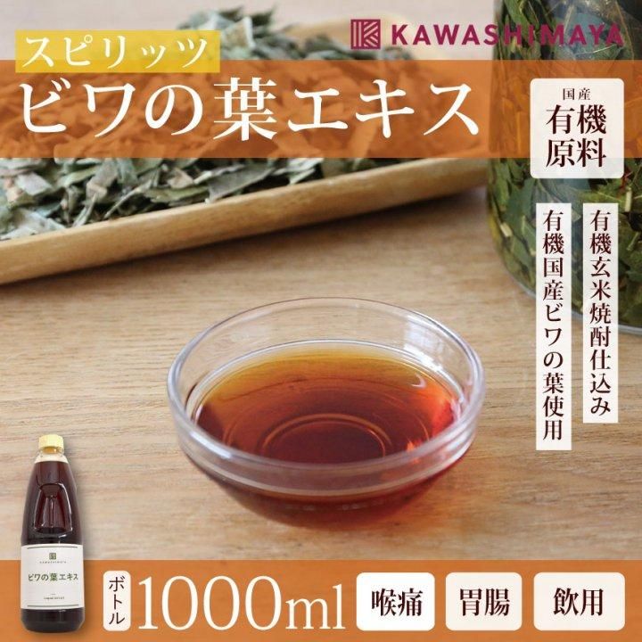 びわの葉の効能 びわの葉茶の飲み方やびわの葉エキスの作り方 Well Being かわしま屋のwebメディア