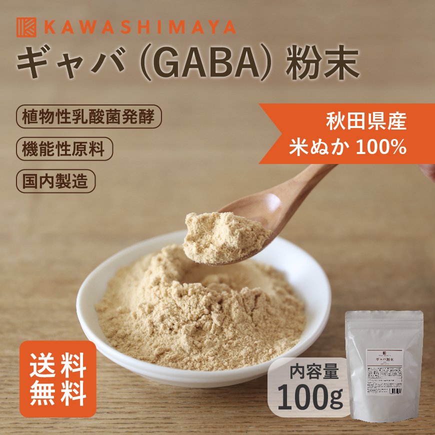 ギャバ（GABA）粉末　100g 国産米ぬか100％ 酒蔵植物性乳酸菌発酵　【送料無料】*メール便での発送*_t1