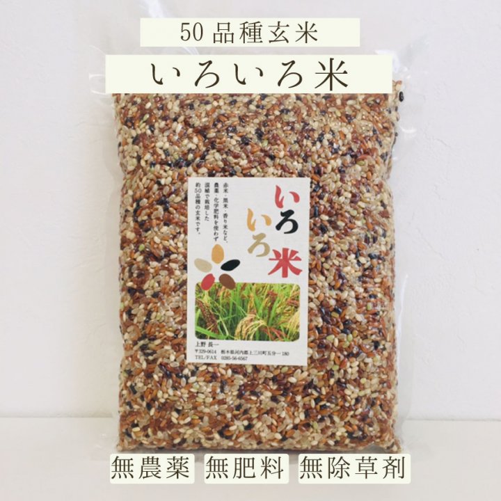 いろいろ米-約50品種の玄米 無農薬・自然栽培（栃木県産）