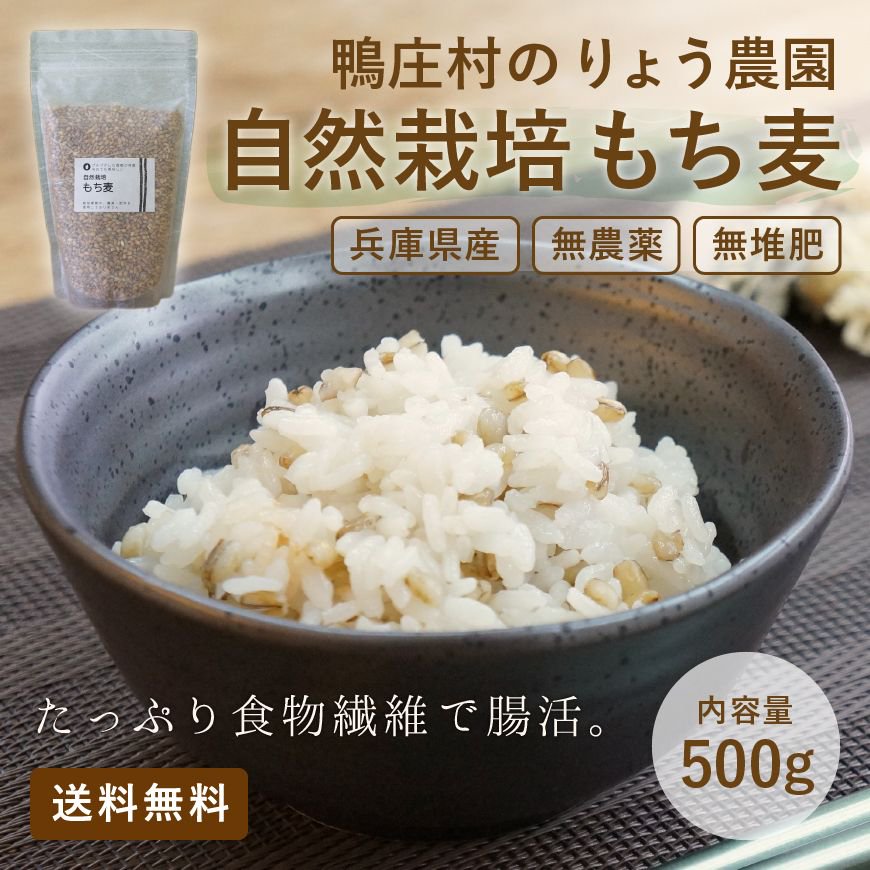 もち米　農薬、除草剤不使用　和歌山県産