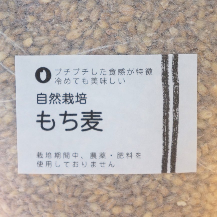 自然栽培もち麦 500g(鴨庄村のりょう農園-兵庫県産）無農薬、無肥料栽培【送料無料】*メール便での発送*