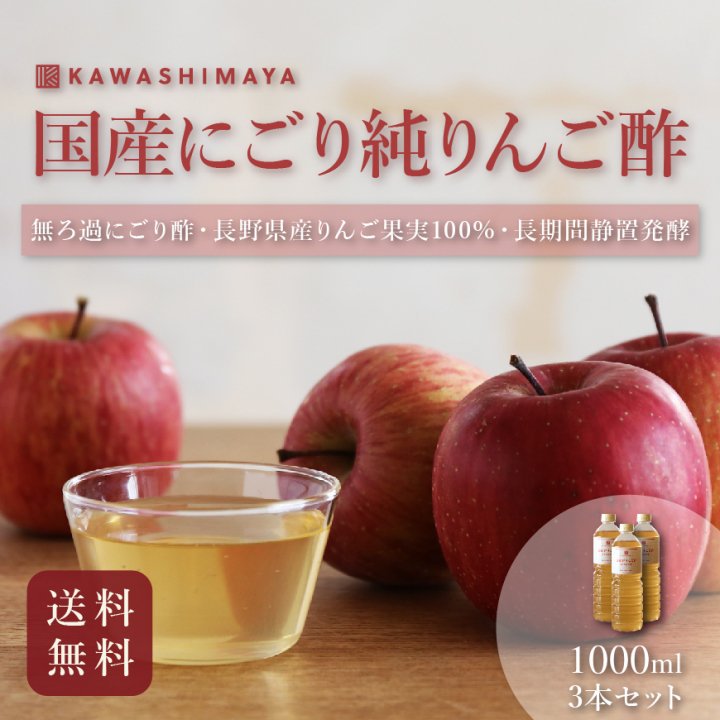 正規 りんご酢 プロテオグリカン PG-inりんご酢 500ml (12本セット