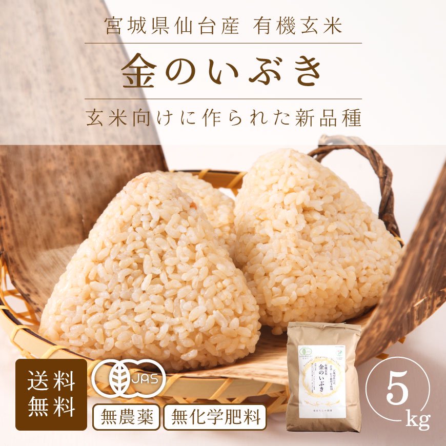 1 新米 岡山県産 農薬不使用 ヒノヒカリ 玄米5㎏ - 米・雑穀・粉類