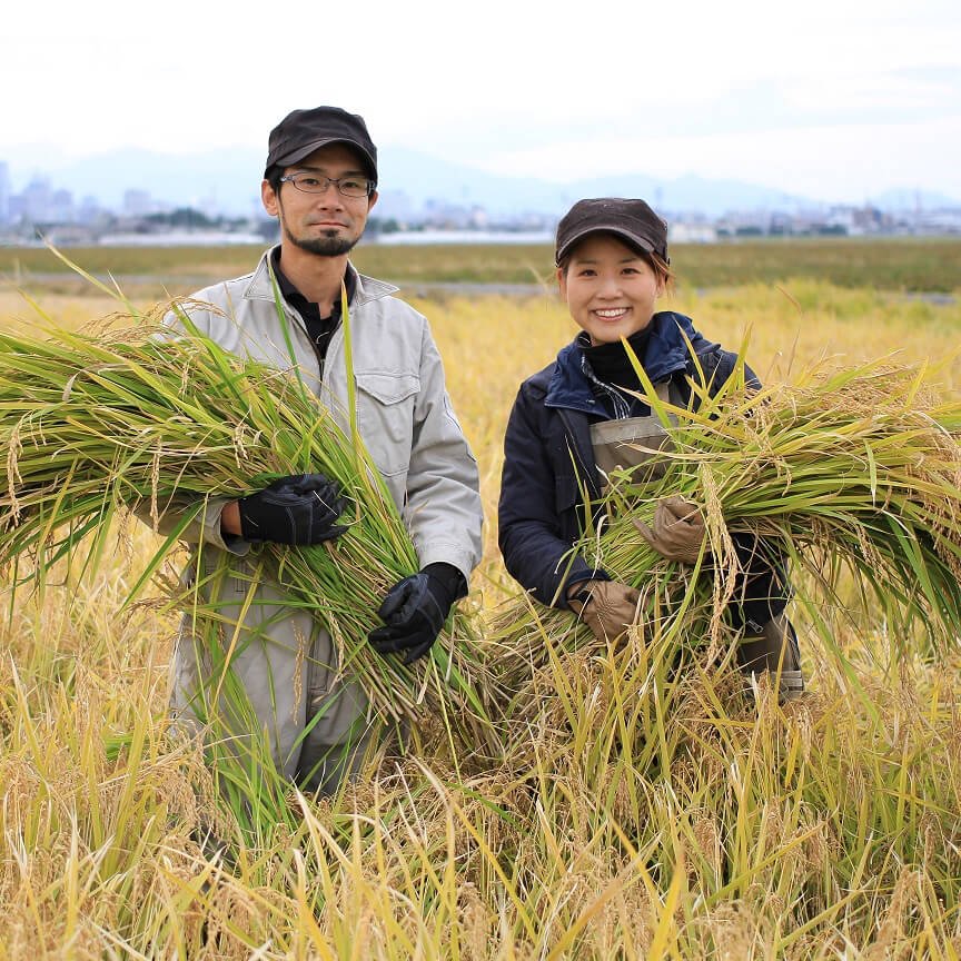 有機玄米 金のいぶき5kg(仙台たんの農園-宮城県産）無農薬、無化学肥料【2023年度産新米】【送料無料】