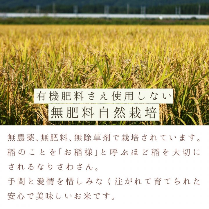 自然栽培　農薬化学肥料不使用 R4年度新米　愛媛県産ヒノヒカリ稲架掛け米10kg