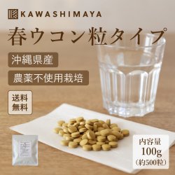 沖縄産春ウコン粒タイプ100g（約500粒）-約1ヶ月分【送料無料】*メール便での発送*｜かわしま屋