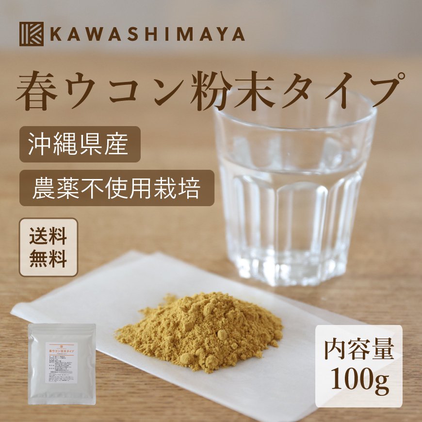 沖縄県産春ウコン粉末タイプ100g-約1ヶ月分【送料無料】*メール