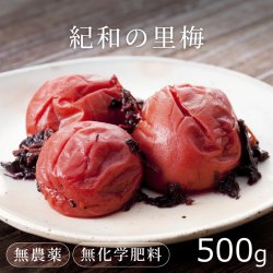 梅肉エキス600g-無農薬・無化学肥料 龍神梅100%使用