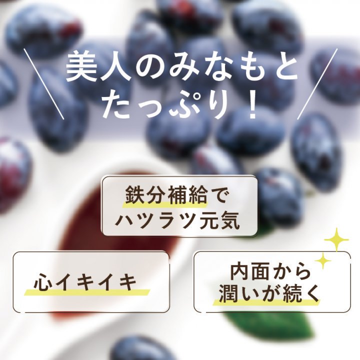 はつらつ堂 付き合い 発酵黒豆6本