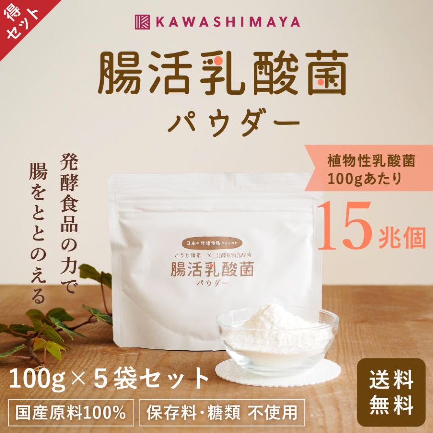 お徳用セット】日本の発酵食品からとれた「腸活乳酸菌パウダー」100g×5袋セット【送料無料】_t1