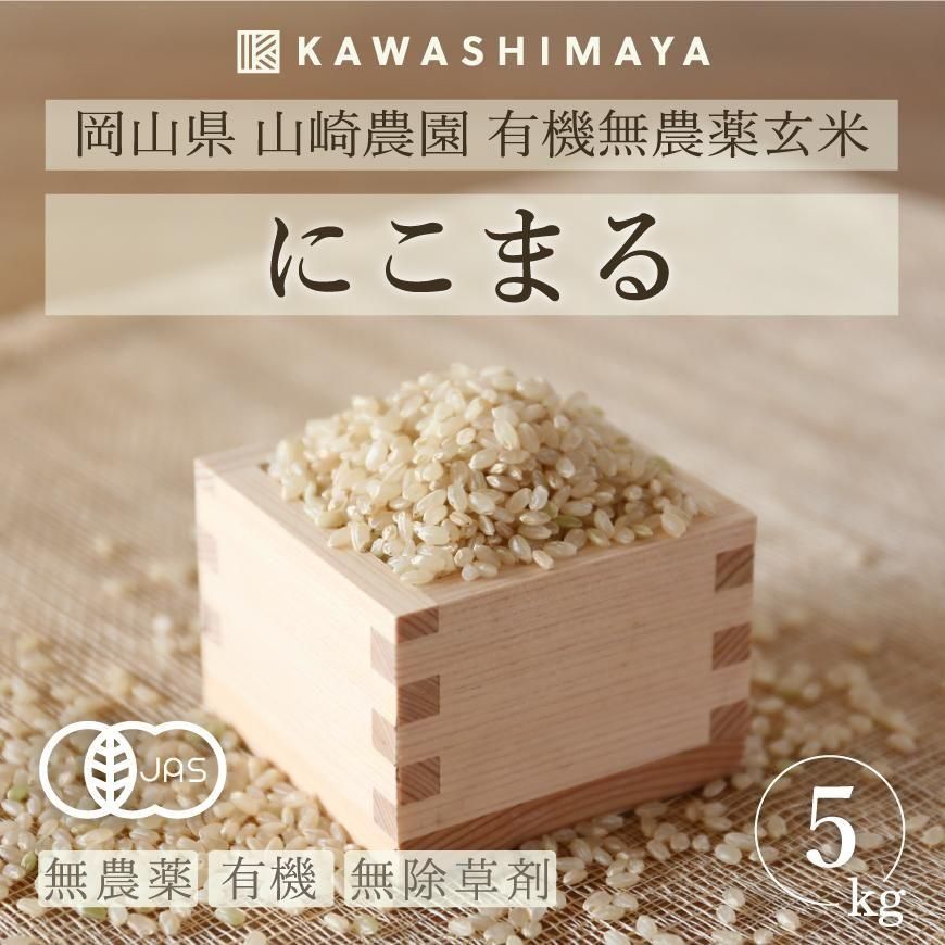 ڿơͭƤˤޤ 5kgʻ-̵ͭԻѡ2025ǯٻ-路޲-