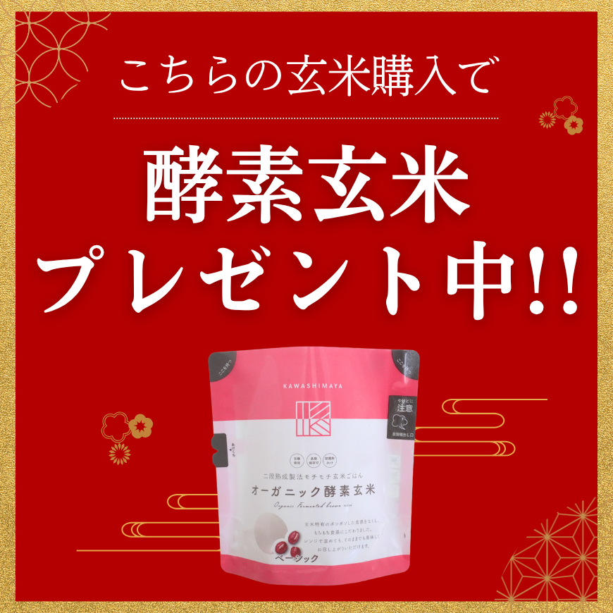 農薬：栽培期間中農薬不使用、にこまる玄米１０㎏ 新米予約販売・11月上旬発送】有機玄米にこまる 5kg（山崎農園