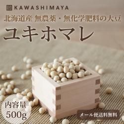 ڽꤪͣ޸¤ۥ業ۥޥƦ 500g̳ƻ  줵̵̵Ʀ-2024ǯʬ̵*᡼ؤǤȯ*_t1