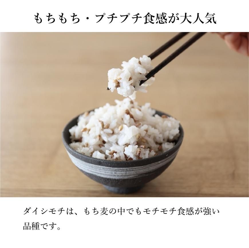 国産（熊本県）無農薬・無化学肥料 有機もち麦ダイシモチ500g ｜有機農場
