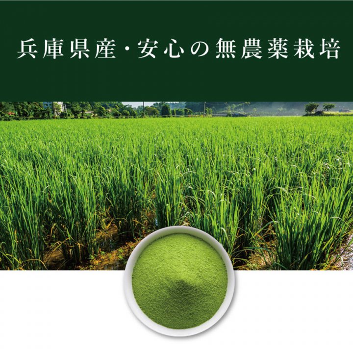 暖暖 ダンダン (2.5g×30包)×3 健康補助食品 植物エキス加工食品 国産