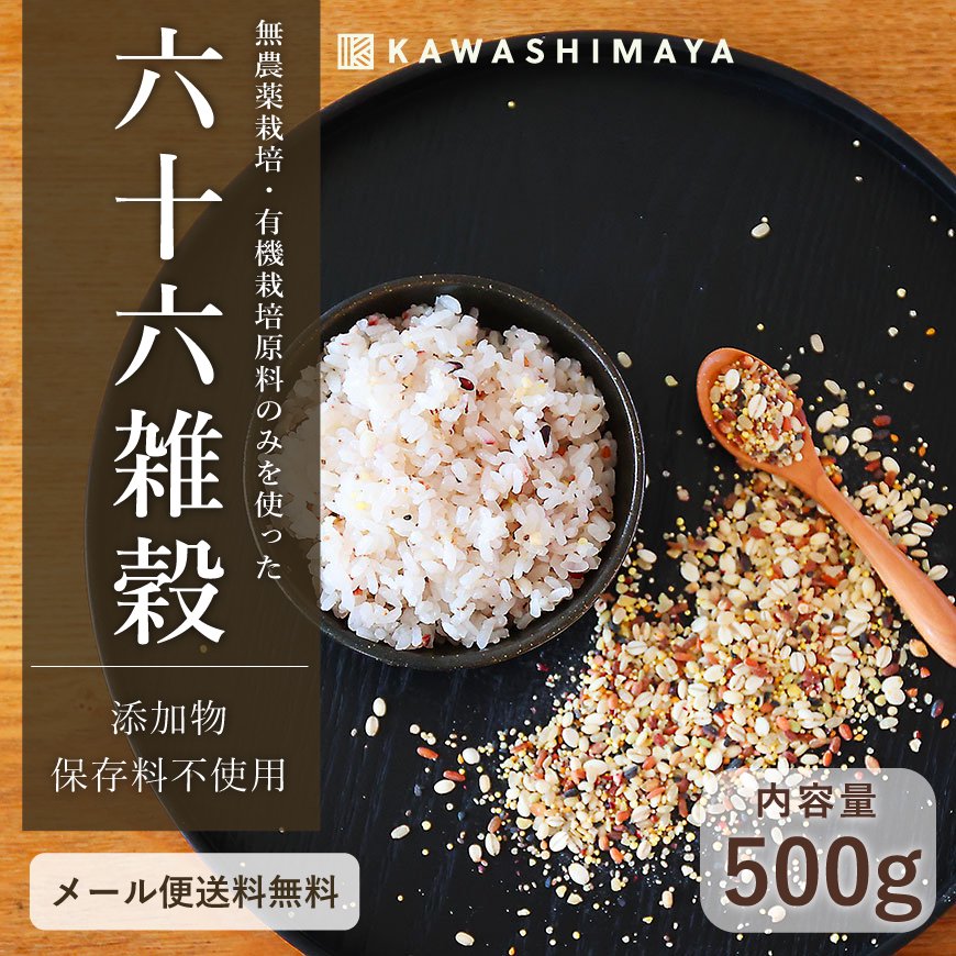 乾燥米麹 業務用 国産米使用 10kg ダンボール入り