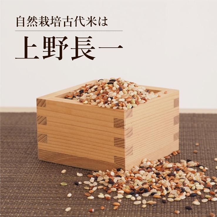 Amazon.co.jp: はくばく おいしさ味わう 十六穀ごはん (30g×6袋