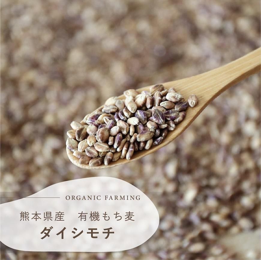 オーガニック酵素玄米 塩麹酵素でじっくり寝かせた玄米ごはん