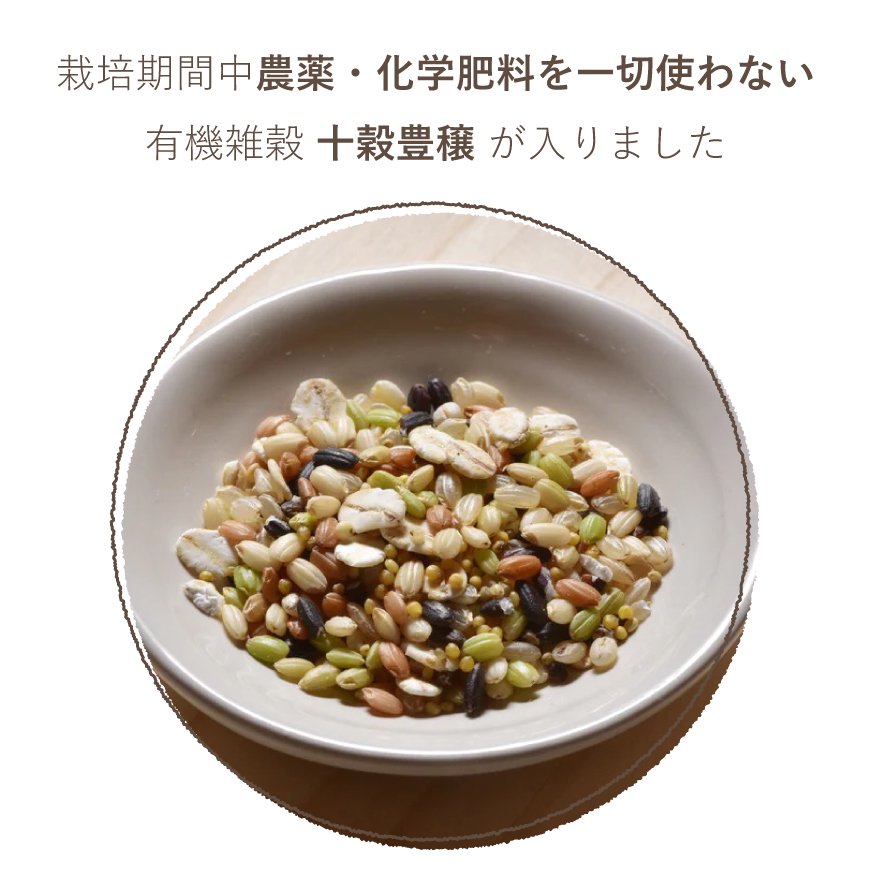 麹（こうじ） 米麹 5kg 有機JAS認定米使用 生きている生の米麹 - 塩麹