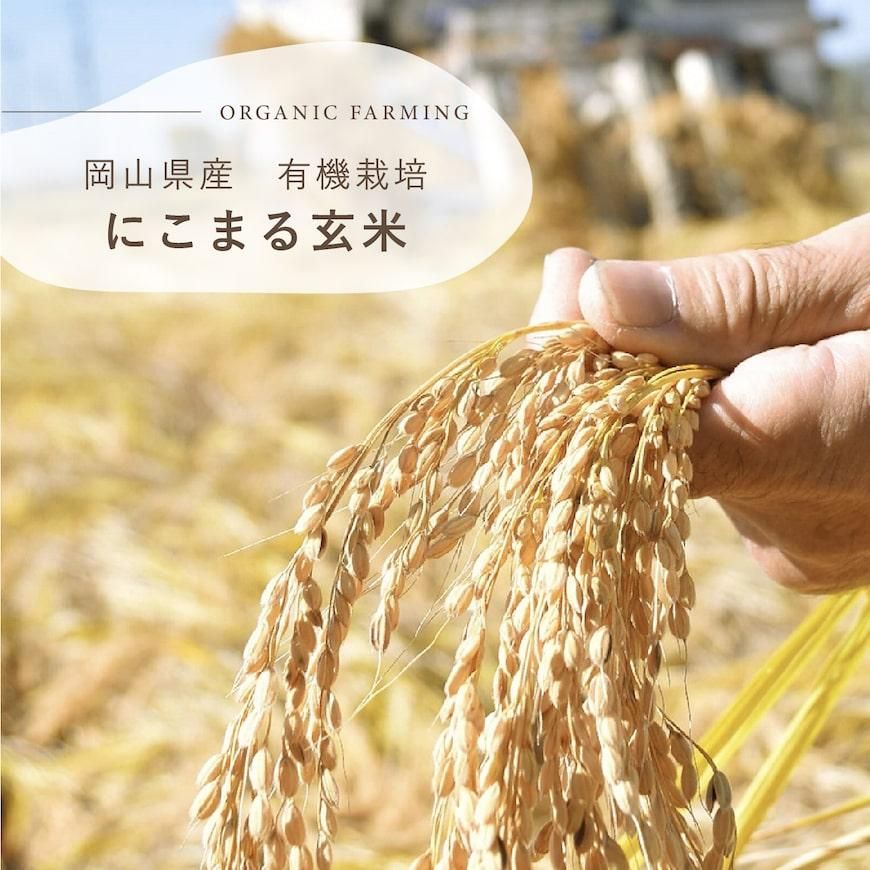 玄米糀×5個セット 楽天市場】玄米麹（総重量（g）400 ～ 499g）（食品）の通販