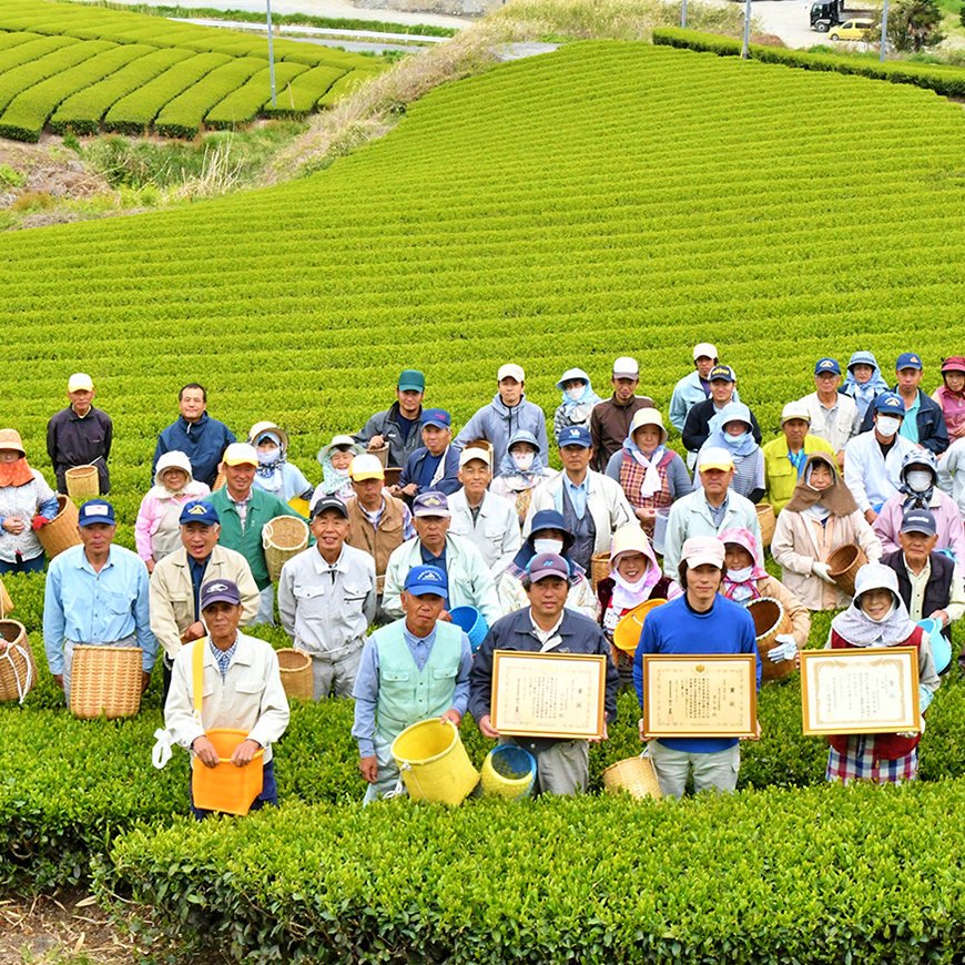 20%OFF】有機 深蒸し煎茶ティーバッグ 3g×20包｜国産 濃くうま味のある