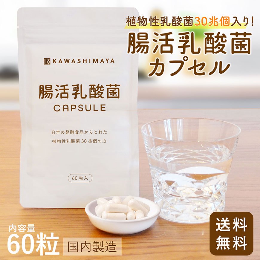 1袋に植物性乳酸菌30兆個！日本の発酵食品からとれた「腸活乳酸菌カプセル」 60粒 -かわしま屋- 【送料無料】*メール便での発送*