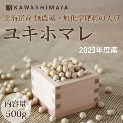 20%OFFۥ業ۥޥƦ 500g̳ƻ  줵̵̵Ʀ-2023ǯʬھ̣2025ǯ5ΰ١