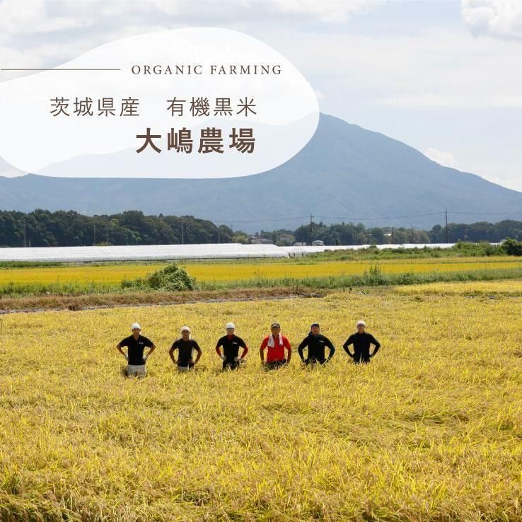栽培期間中農薬・化学肥料不使用の原料】酵素玄米 塩麹酵素で