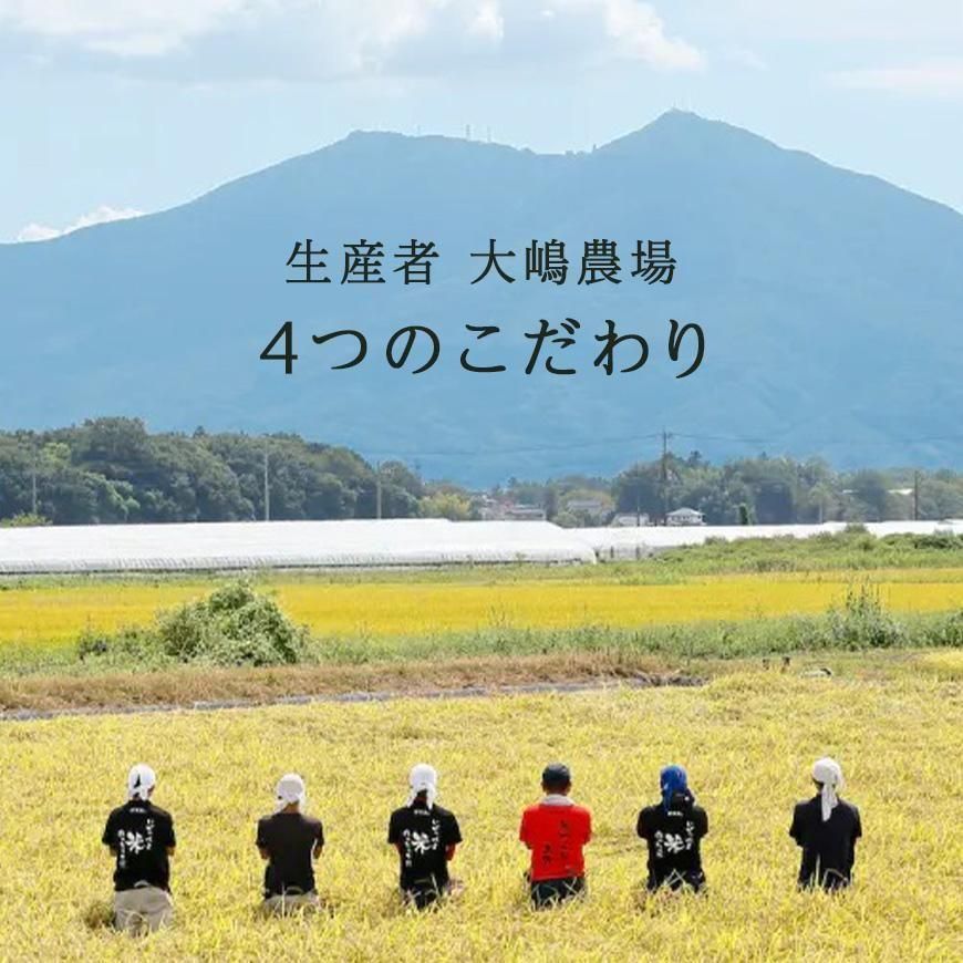 有機黒米 500g｜茨城県産 栽培期間中農薬・化学肥料不使用 大嶋