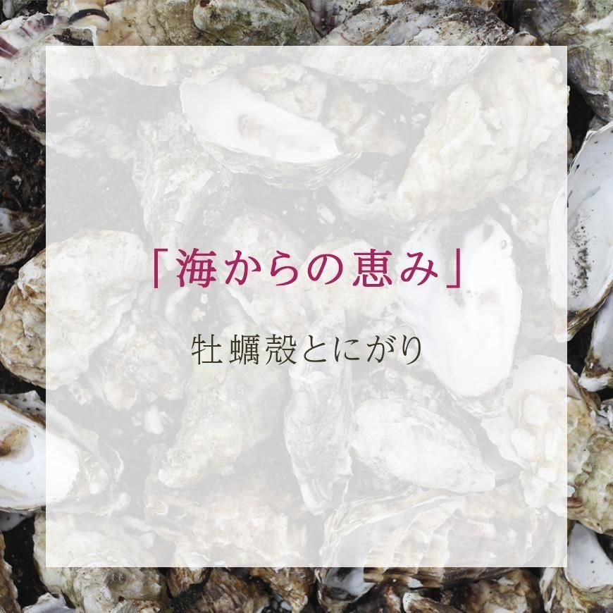 有機黒米 500g｜茨城県産 栽培期間中農薬・化学肥料不使用 大嶋