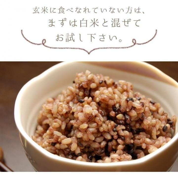 有機黒米 500g｜熊本県産 栽培期間中農薬・化学肥料不使用 有機