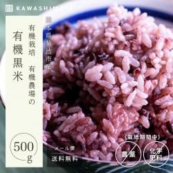 ͭ 500g÷ܸ ݴԻ ͭ -路޲-̵*᡼ؤǤȯ*
