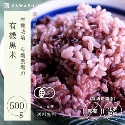 ͭ 500g÷ܸ ݴԻ ͭ -路޲- ̵*᡼ؤǤȯ*
