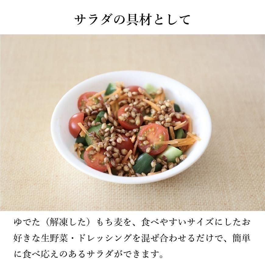 有機もち麦ダイシモチ R3年度産 500gの通販｜国産（宮崎県）無